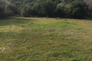 Teren construibil 5.700 mp în Stavros – Milies Thessaloniki anunturi imobiliare Grecia