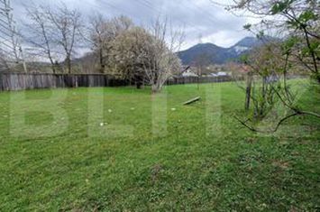 Teren de vanzare SACELE - Brasov anunturi imobiliare Brasov