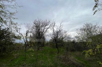 Teren de vanzare CARCEA - Dolj anunturi imobiliare Dolj