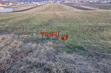 Teren Intravilan de vanzare BARABANT - Alba anunturi imobiliare Alba