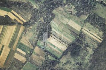 Teren mixt de 10.000 mp, ideal pentru investitie, Barsa anunturi imobiliare Arad