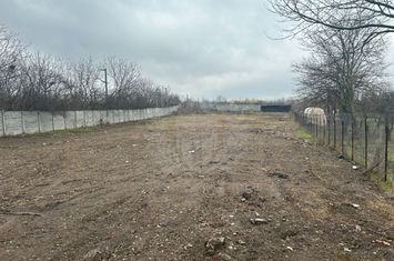 TEREN INTRAVILAN//2490 MP//ZONA MIHAI BRAVU//GRAL anunturi imobiliare Prahova