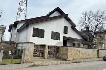 Vilă - 8 camere de vanzare DOROHOI - Botosani anunturi imobiliare Botosani