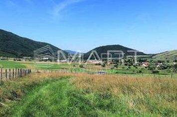 Teren de vanzare ORLAT - Sibiu anunturi imobiliare Sibiu