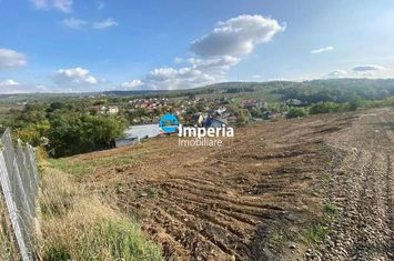 Teren Intravilan de vanzare BARNOVA - Iasi anunturi imobiliare Iasi