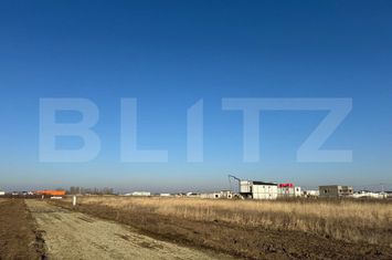 Teren de vanzare PIELESTI - Dolj anunturi imobiliare Dolj