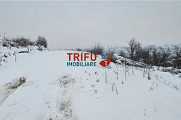 Teren Intravilan de vanzare CETATE - Alba anunturi imobiliare Alba