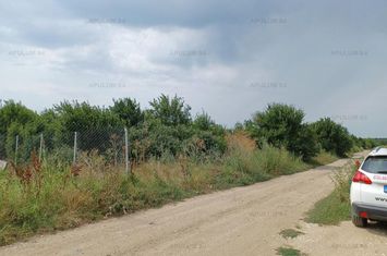 Teren Intravilan de vanzare SABARENI - Giurgiu anunturi imobiliare Giurgiu