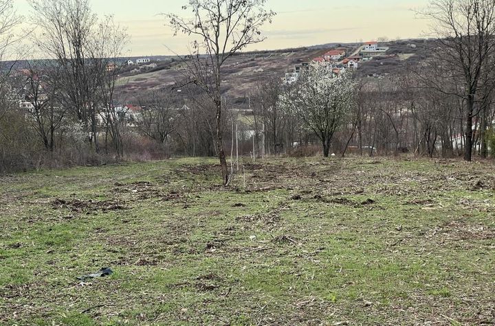 Teren Intravilan de vanzare PALEU  - Bihor anunturi imobiliare Bihor