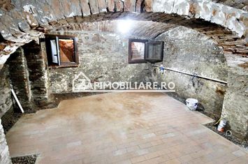 Spatiu Comercial 100 mp.zona Centrală anunturi imobiliare Mures