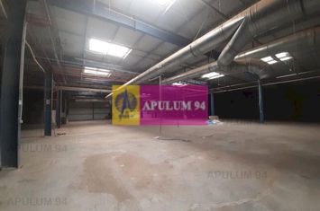 Spatiu Logistic langa Bucuresti Hala 5000 mp anunturi imobiliare Bucuresti