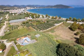 Teren agricol 4.000 mp la 50 m de mare, Nea Peramos anunturi imobiliare Grecia