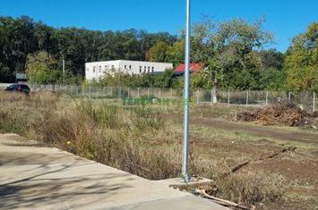 Vânzare lot 550 mp - Calea București (DN1) Săftica anunturi imobiliare Bucuresti