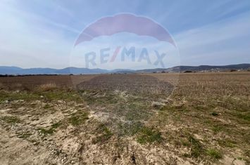 Teren de vanzare! anunturi imobiliare Sibiu