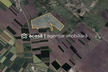 Teren 42 ha pentru parc fotovoltaic – Macea, Arad anunturi imobiliare Arad