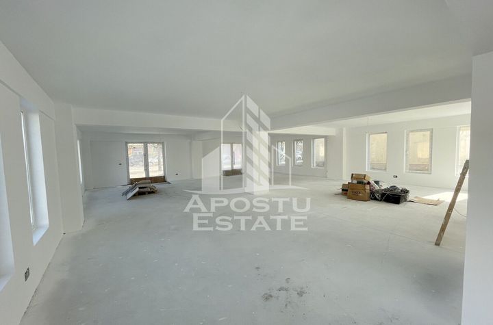 Spatiu comercial 238 mp, zona Lipovei , artera circulata anunturi imobiliare Timis