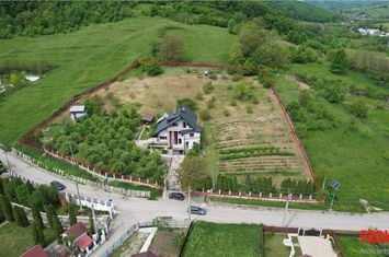 Vilă - 8 camere de vanzare CENTRAL - Bacau anunturi imobiliare Bacau