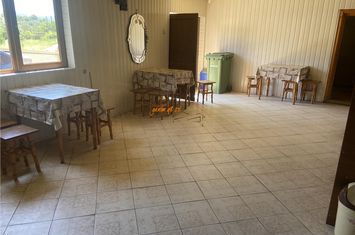 Spațiu comercial de vanzare REGHIU - Vrancea anunturi imobiliare Vrancea