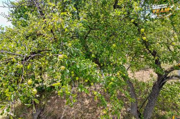 Teren Extravilan de vanzare EXTERIOR EST - Covasna anunturi imobiliare Covasna