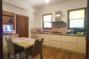 FERDINAND - Baicului casa individuala anunturi imobiliare Bucuresti