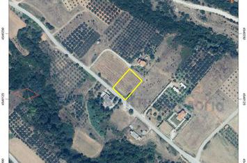 Teren agricol 1.590 mp în Zarkadia anunturi imobiliare Grecia