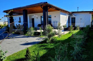 Casă - 4 camere de vanzare HALCHIU - Brasov anunturi imobiliare Brasov