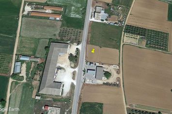 Teren construibil 1.000 mp, Nigritas - Serres anunturi imobiliare Grecia