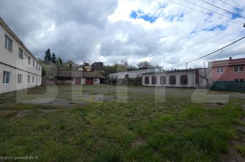 Vilă - 10 camere de vanzare TARGU MURES - Mures anunturi imobiliare Mures