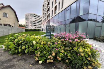 Spațiu servicii educationale de inchiriat anunturi imobiliare Cluj