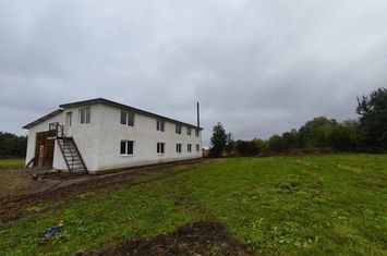 Spațiu industrial de inchiriat SIRET - Suceava anunturi imobiliare Suceava