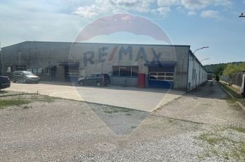 Hala de Inchiriat | Calea Baciului | Cluj-Napoca anunturi imobiliare Cluj