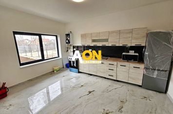 Casa 3 camere, mobilata, utilata, 452 mp teren, Alba - Micesti anunturi imobiliare Alba