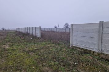 Teren de vanzare SIMNICU DE SUS - Dolj anunturi imobiliare Dolj