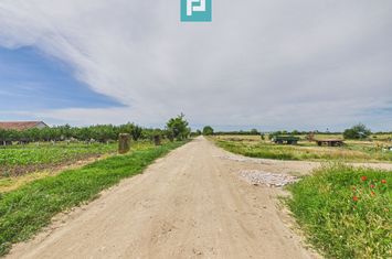 Teren extravilan 5000 mp, Arad anunturi imobiliare Arad