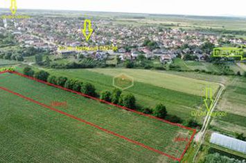 Teren Extravilan de vanzare ODOREU - Satu Mare anunturi imobiliare Satu Mare