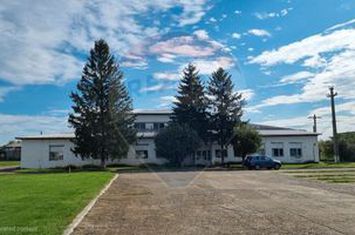 Teren Industrial de Vânzare 4.4 Ha - Zona industrială - Hârlău anunturi imobiliare Iasi