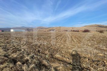 Teren de vanzare SARD - Alba anunturi imobiliare Alba