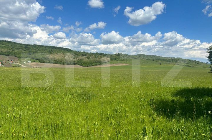 Teren de vanzare BISTRITA - Bistrita-Nasaud anunturi imobiliare Bistrita-Nasaud