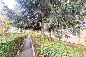 Apartament 2 camere de vanzare FLORILOR - Brasov anunturi imobiliare Brasov