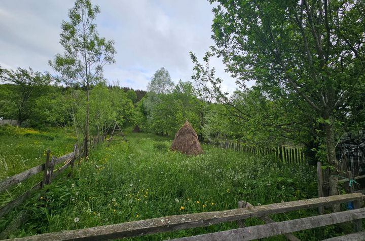 Teren de vanzare VALEA DOFTANEI - Prahova anunturi imobiliare Prahova