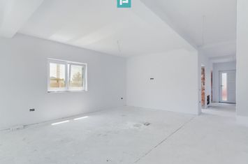 Duplex P+1 deosebit în Moșnița Veche anunturi imobiliare Timis