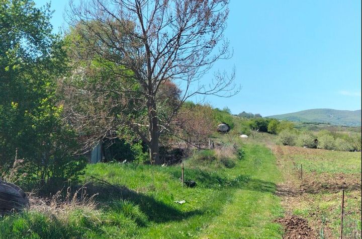 Parcele teren Paclisa, Jud. Arad anunturi imobiliare Alba