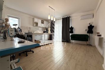 Apartament cu 2 camere, etajul 1, Giroc anunturi imobiliare Timis