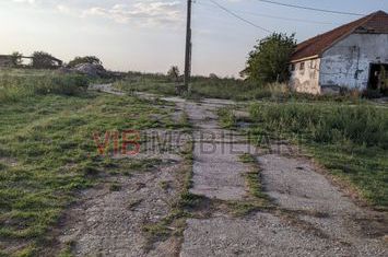 Ferma Zootehnică Mixtă – Cernateaz, Timiș | 9,5 ha | Hale Moderne, Casă 2019, Utilități Industriale anunturi imobiliare Timis