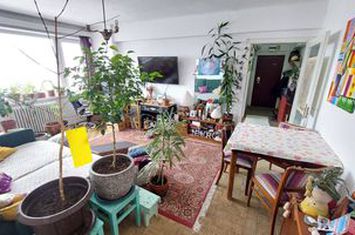 0 comision ! 3 camere Cinema Florin Piersic, 73 mp, priveliste superba anunturi imobiliare Cluj