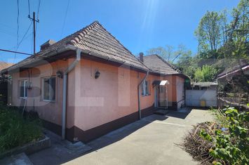 Casă - 2 camere de vanzare SANGEORGIU DE MURES - Mures anunturi imobiliare Mures
