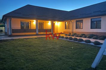 Casă - 5 camere de vanzare URSOAIA - Iasi anunturi imobiliare Iasi