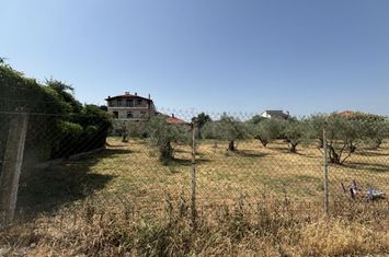 Teren 498 mp în Elaionas, Serres anunturi imobiliare Grecia