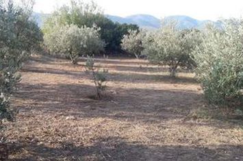 Teren construibil 480 mp - Kipia Paggaiou anunturi imobiliare Grecia