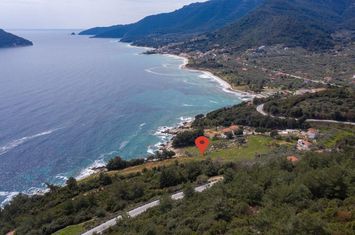 Teren construibil 13.916,99 mp în Koinira, Thassos anunturi imobiliare Grecia